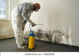 Environmental Consulting for Mold Prevention in Redington Shores, FL